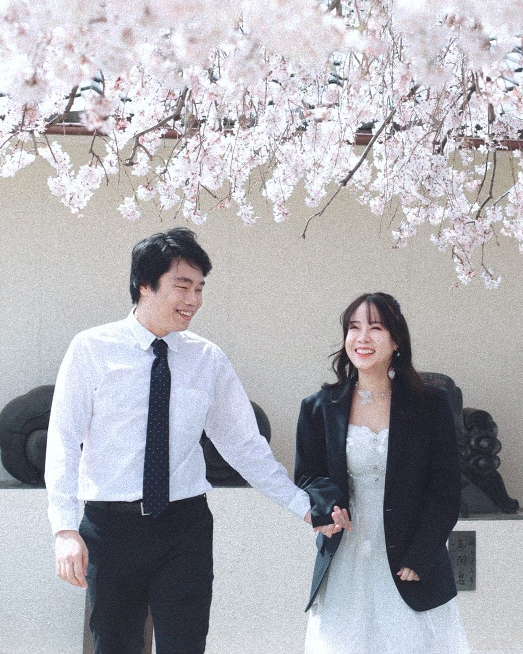 Witita and Sorratat hand in hand beneath cherry blossom in Japan