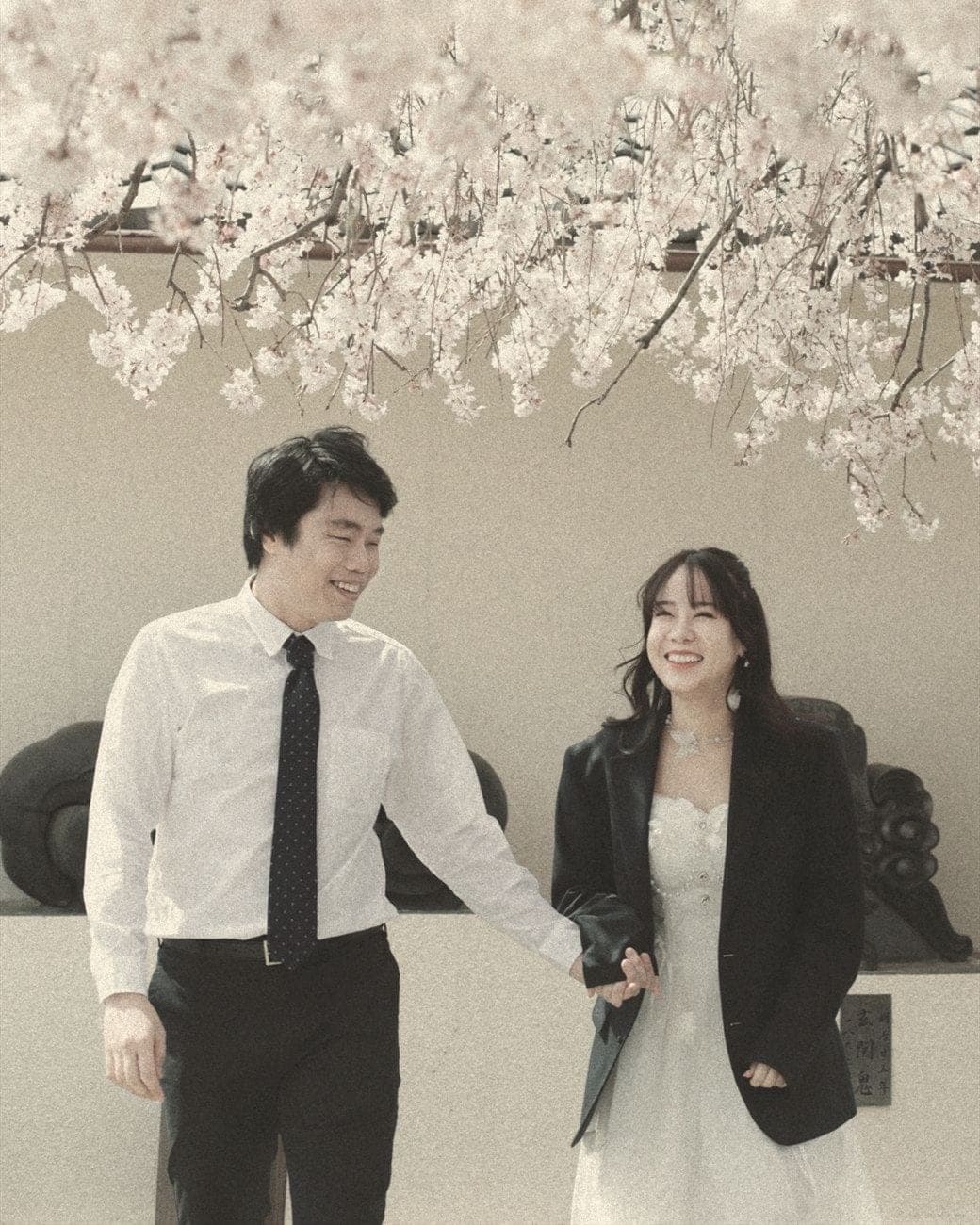 Witita and Sorratat hand in hand beneath cherry blossom in Japan